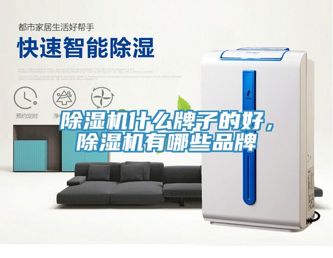 深夜福利视频网站什麽牌子的好，深夜福利视频网站有哪些品牌