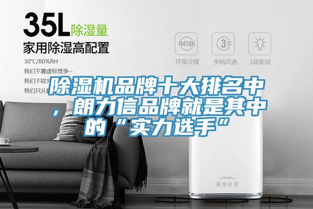 深夜福利视频网站品牌十大排名中，朗力信品牌就是其中的“實力選手”
