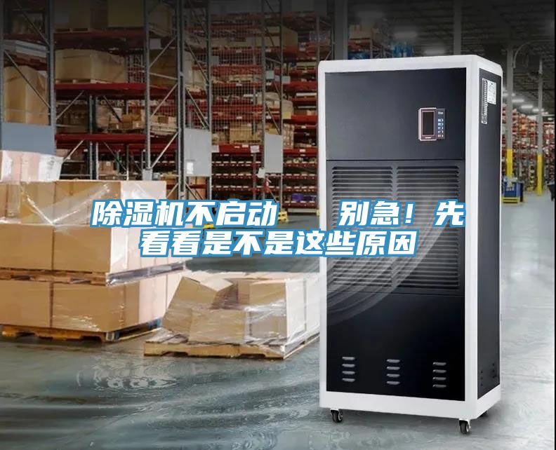 深夜福利视频网站不啟動   別急！先看看是不是這些原因