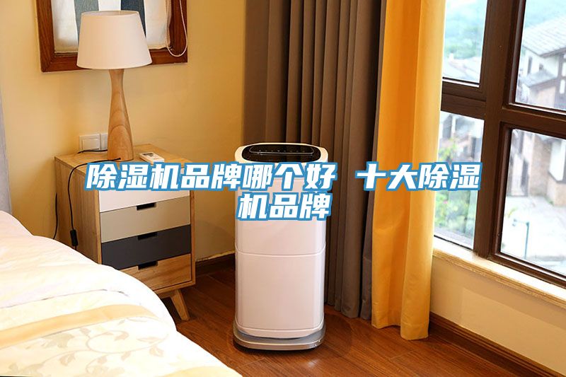深夜福利视频网站品牌哪個好 十大深夜福利视频网站品牌