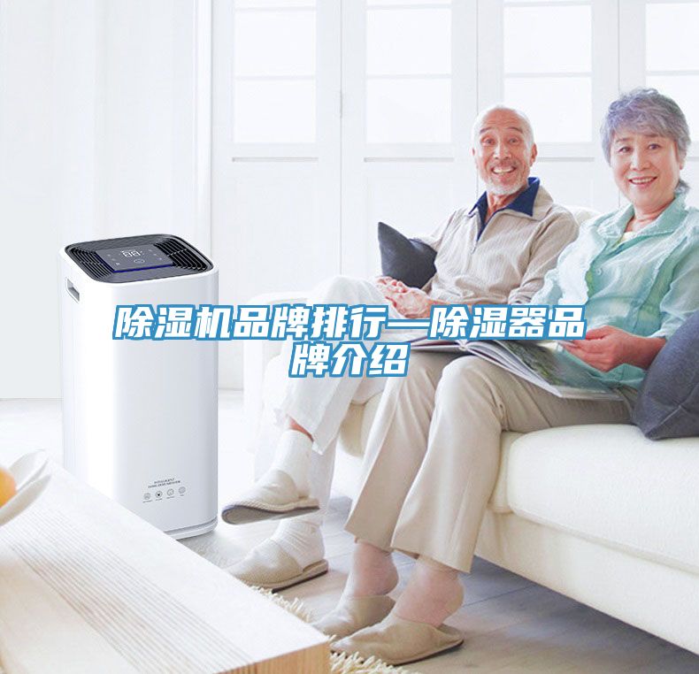 深夜福利视频网站品牌排行—除濕器品牌介紹