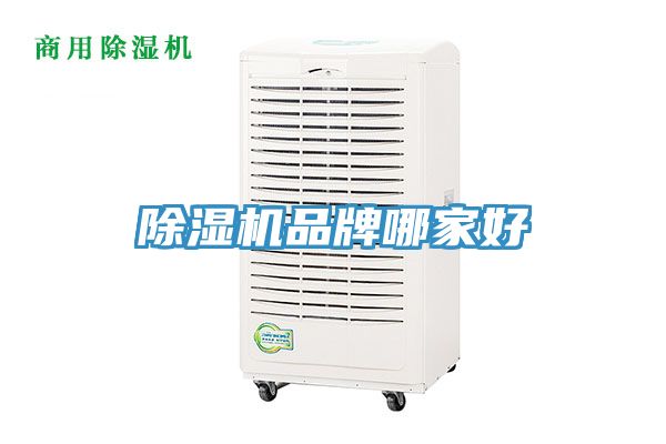 深夜福利视频网站品牌哪家好