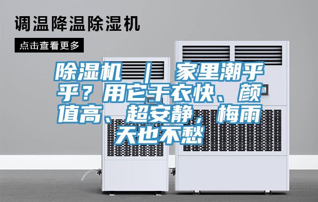 深夜福利视频网站 ｜ 家裏潮乎乎？用它幹衣快、顏值高、超安靜，梅雨天也不愁