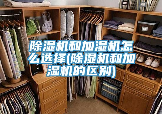 深夜福利视频网站和加濕機怎麽選擇(深夜福利视频网站和加濕機的區別)