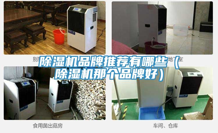 深夜福利视频网站品牌推薦有哪些（深夜福利视频网站那個品牌好）