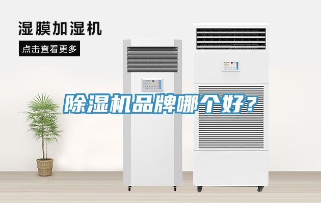 深夜福利视频网站品牌哪個好？