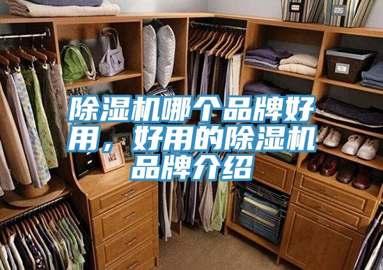 深夜福利视频网站哪個品牌好用，好用的深夜福利视频网站品牌介紹