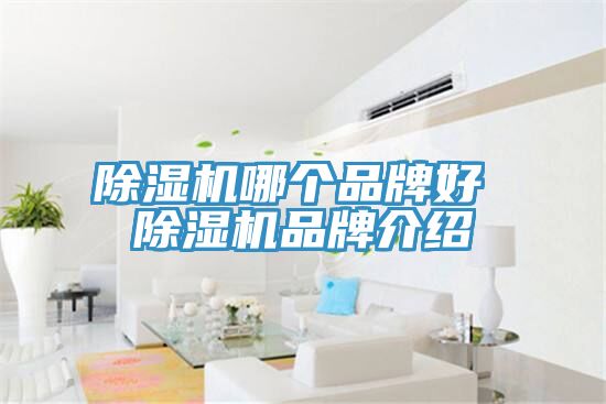 深夜福利视频网站哪個品牌好 深夜福利视频网站品牌介紹