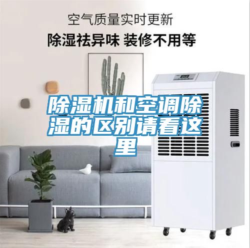 深夜福利视频网站和空調除濕的區別請看這裏