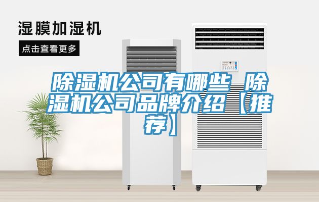 深夜福利视频网站公司有哪些 深夜福利视频网站公司品牌介紹【推薦】