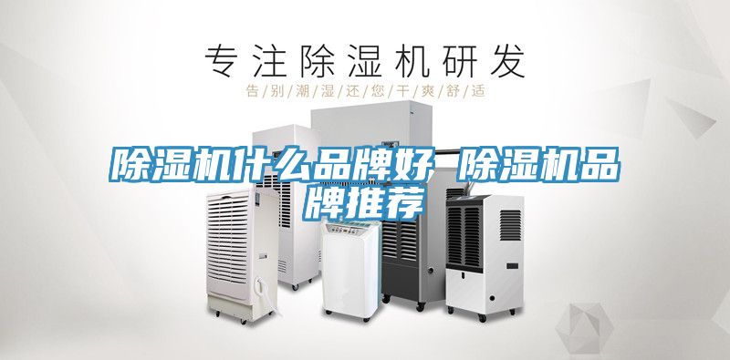 深夜福利视频网站什麽品牌好 深夜福利视频网站品牌推薦