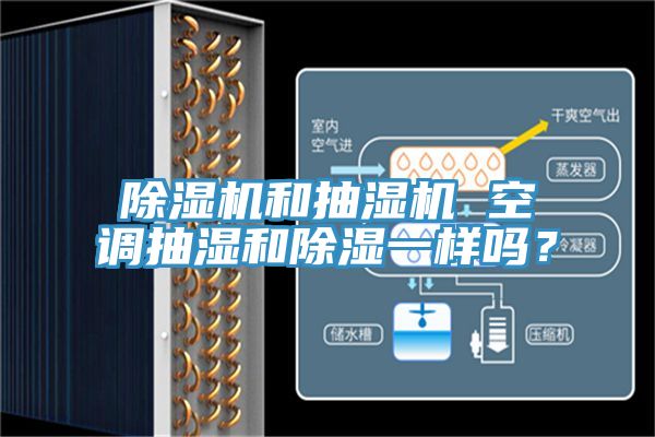 深夜福利视频网站和抽濕機 空調抽濕和除濕一樣嗎？