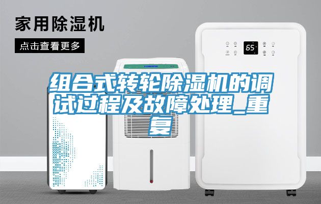 組合式轉輪深夜福利视频网站的調試過程及故障處理_重複