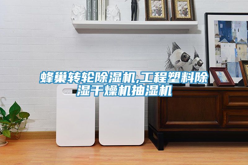 蜂巢轉輪深夜福利视频网站,工程塑料除濕幹燥機抽濕機