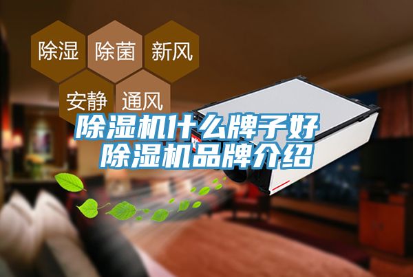 深夜福利视频网站什麽牌子好 深夜福利视频网站品牌介紹