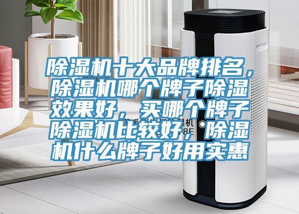 深夜福利视频网站十大品牌排名，深夜福利视频网站哪個牌子除濕效果好，買哪個牌子深夜福利视频网站比較好，深夜福利视频网站什麽牌子好用實惠
