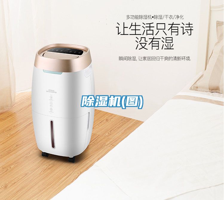 深夜福利视频网站(圖)