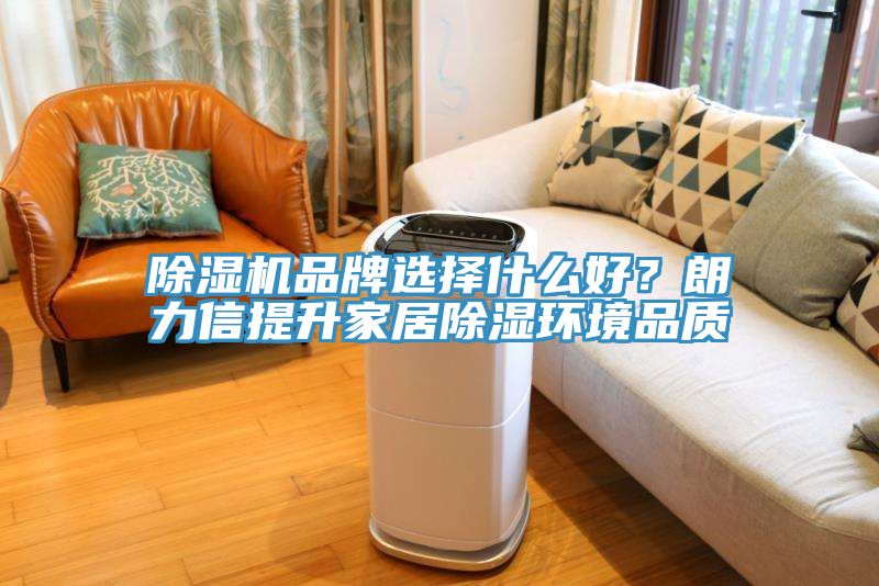 深夜福利视频网站品牌選擇什麽好？朗力信提升家居除濕環境品質