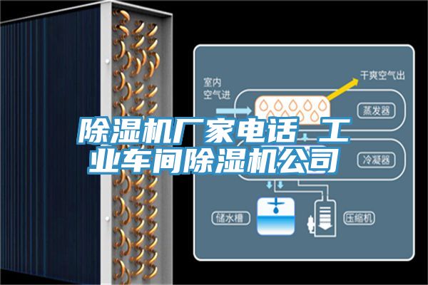 深夜福利视频网站廠家電話 工業車間深夜福利视频网站公司