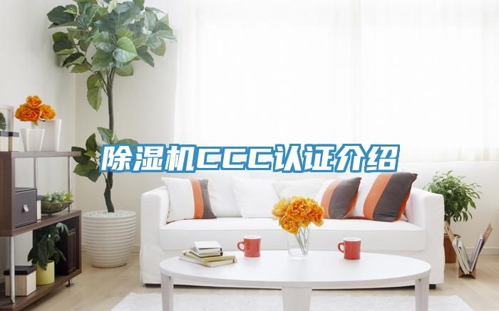 深夜福利视频网站CCC認證介紹