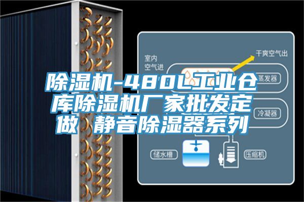 深夜福利视频网站-480L工業倉庫深夜福利视频网站廠家批發定做 靜音除濕器係列