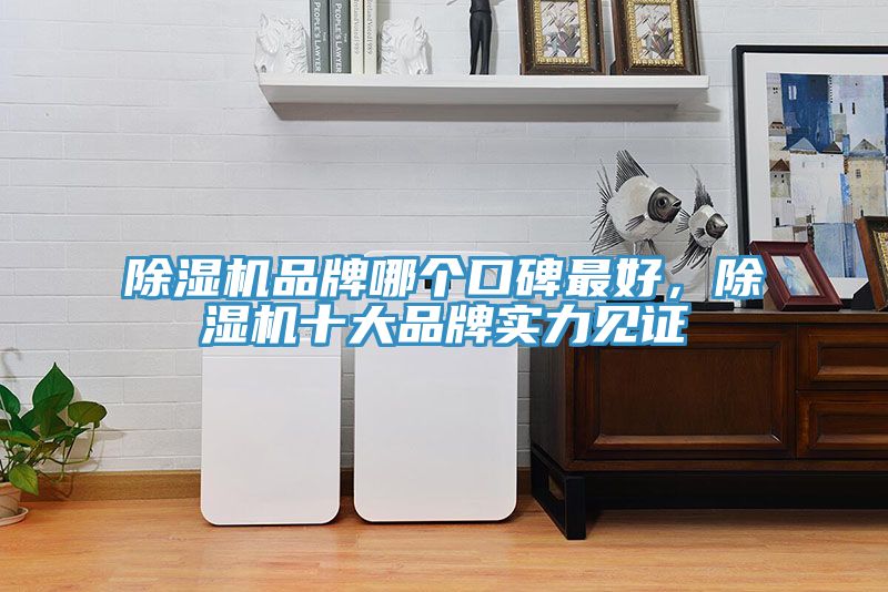 深夜福利视频网站品牌哪個口碑最好，深夜福利视频网站十大品牌實力見證