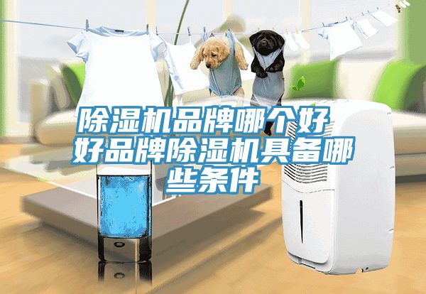 深夜福利视频网站品牌哪個好 好品牌深夜福利视频网站具備哪些條件