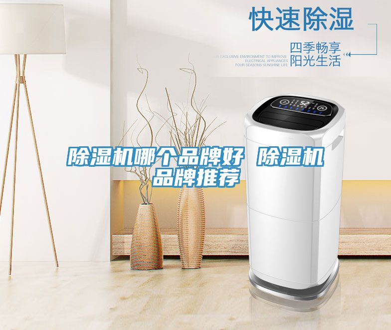 深夜福利视频网站哪個品牌好 深夜福利视频网站品牌推薦