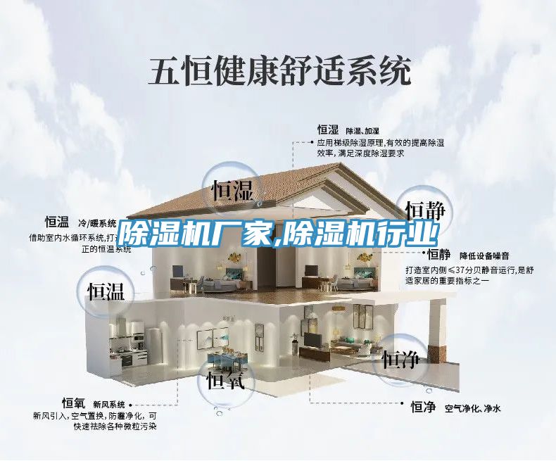 深夜福利视频网站廠家,深夜福利视频网站行業