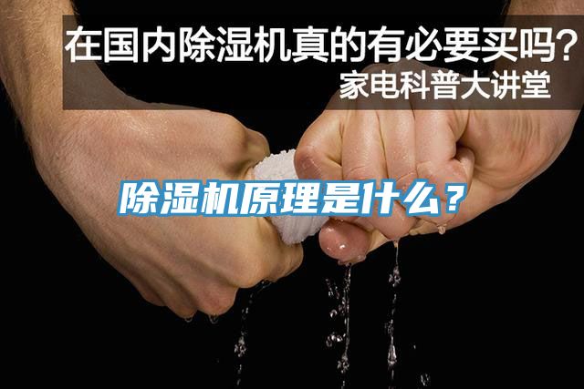 深夜福利视频网站原理是什麽？