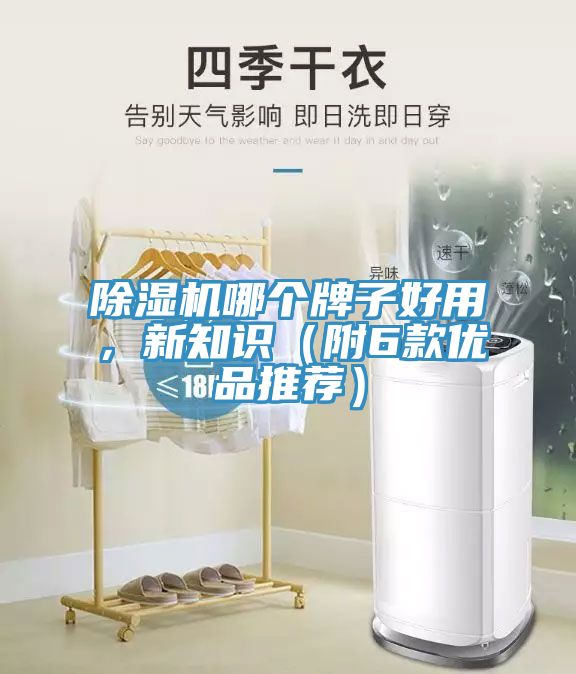 深夜福利视频网站哪個牌子好用，新知識（附6款優品推薦）