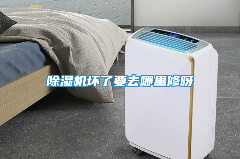 深夜福利视频网站壞了要去哪裏修呀