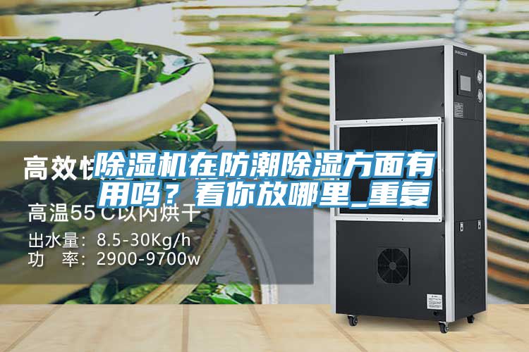 深夜福利视频网站在防潮除濕方麵有用嗎？看你放哪裏_重複