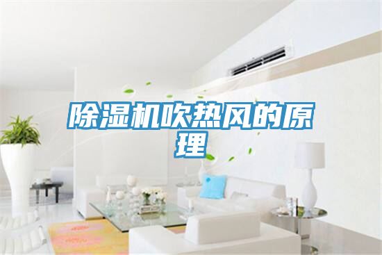 深夜福利视频网站吹熱風的原理