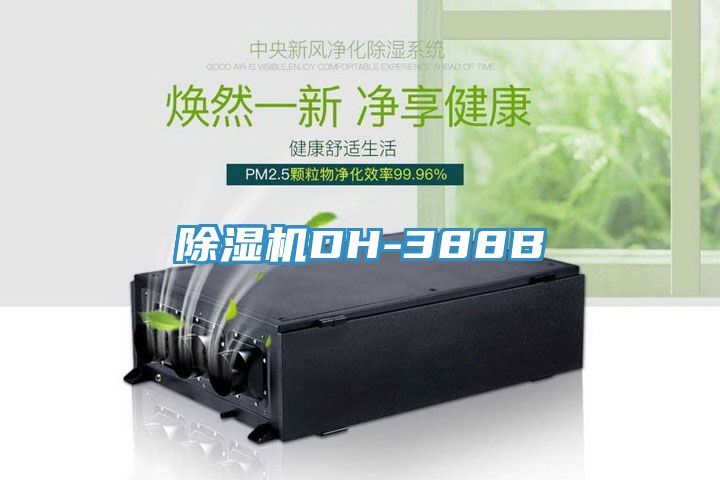 深夜福利视频网站DH-388B