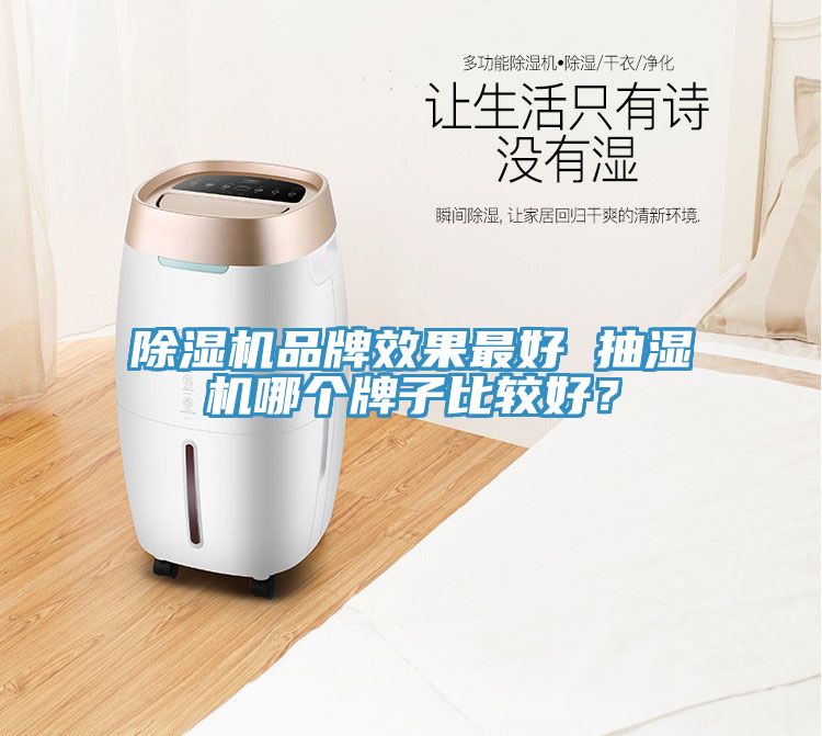 深夜福利视频网站品牌效果最好 抽濕機哪個牌子比較好？