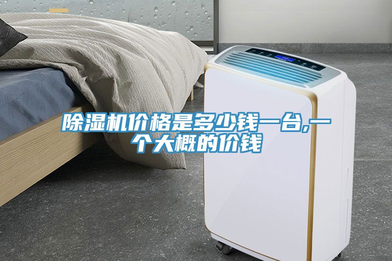 深夜福利视频网站價格是多少錢一台,一個大概的價錢