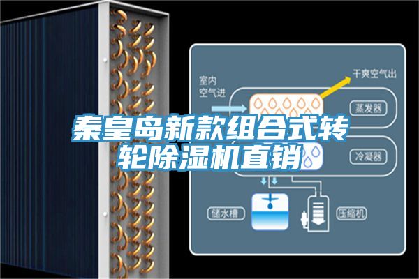 秦皇島新款組合式轉輪深夜福利视频网站直銷