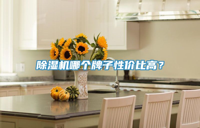 深夜福利视频网站哪個牌子性價比高？