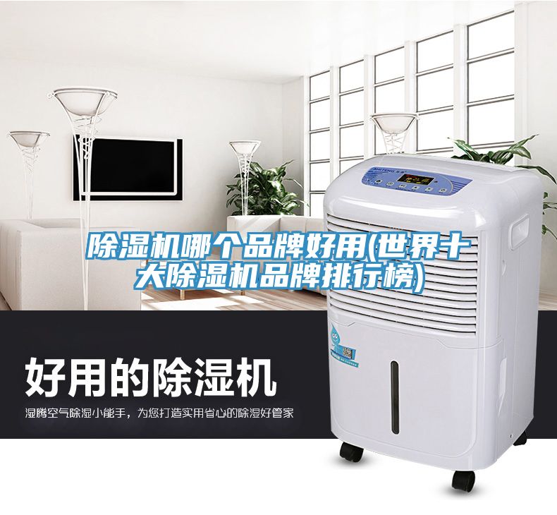 深夜福利视频网站哪個品牌好用(世界十大深夜福利视频网站品牌排行榜)