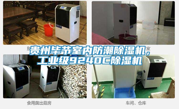 貴州畢節室內防潮深夜福利视频网站，工業級9240C深夜福利视频网站