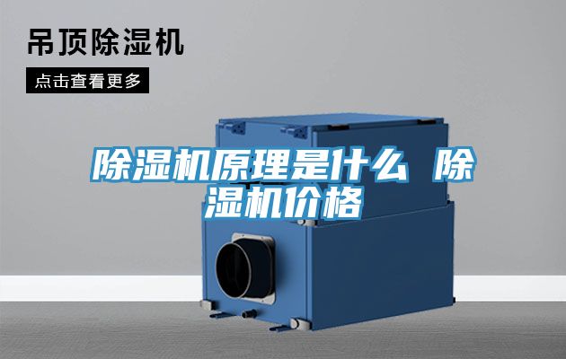 深夜福利视频网站原理是什麽 深夜福利视频网站價格