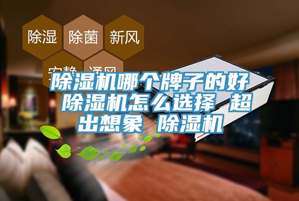 深夜福利视频网站哪個牌子的好 深夜福利视频网站怎麽選擇 超出想象 深夜福利视频网站