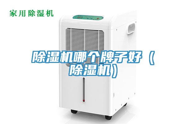 深夜福利视频网站哪個牌子好（深夜福利视频网站）
