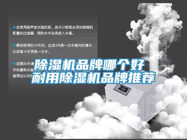 深夜福利视频网站品牌哪個好 耐用深夜福利视频网站品牌推薦