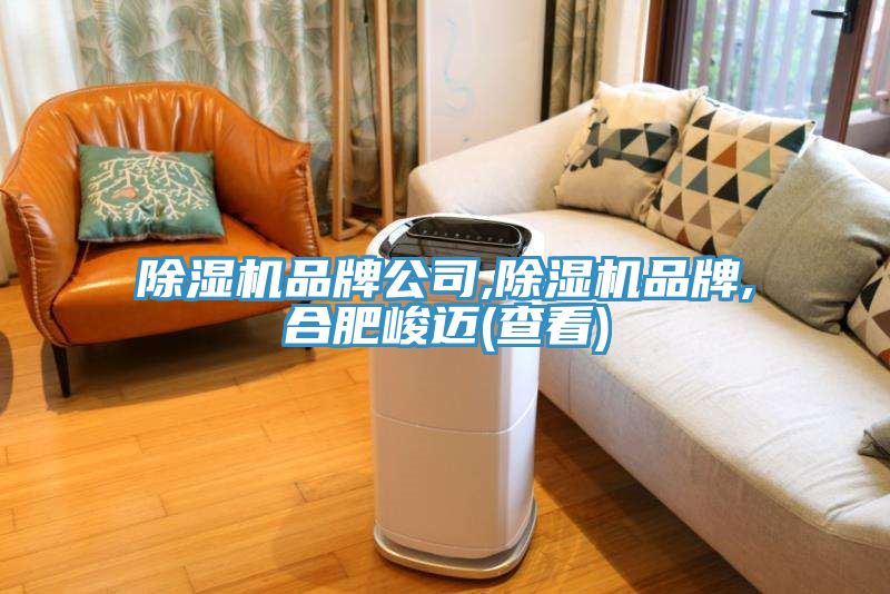 深夜福利视频网站品牌公司,深夜福利视频网站品牌,合肥峻邁(查看)