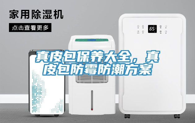 真皮包保養大全，真皮包防黴防潮方案