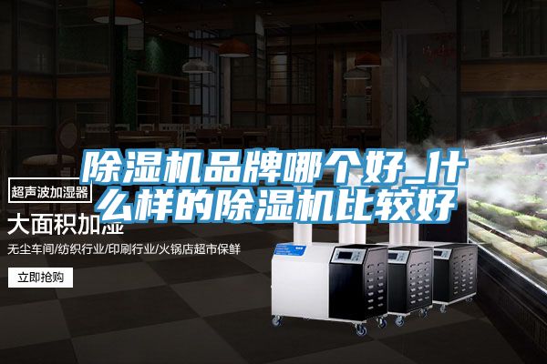 深夜福利视频网站品牌哪個好_什麽樣的深夜福利视频网站比較好