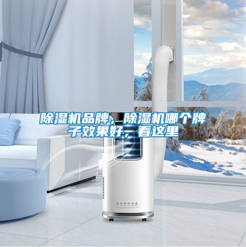 深夜福利视频网站品牌，深夜福利视频网站哪個牌子效果好，看這裏