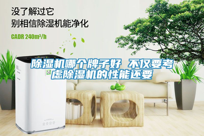 深夜福利视频网站哪個牌子好 不僅要考慮深夜福利视频网站的性能還要